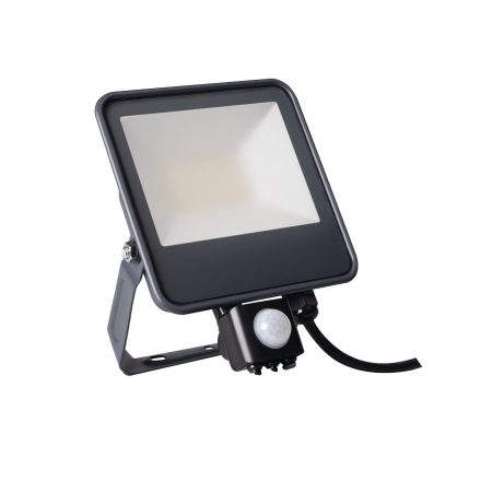 IQ-LED FL-30W-NW-SE LED-es reflektor 