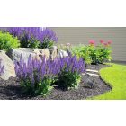 Cserélhető fényforrású kerti lámpatest KANLUX GRIBLO 7 GR