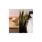 LED akkumulátoros éjjeli fény / lámpa "BARÁTSÁGOS TENGERIMALAC" Forever Light