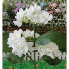 Forever Light Hortenzia virág napelemes kerti lámpa