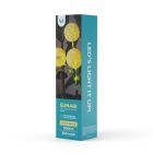 Forever Light napelemes fokhagyma virág kerti lámpa