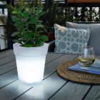 Polux Napelemes LED-es világító virágcserép