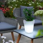 Polux Napelemes LED-es világító virágcserép